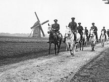 WW1 Horses